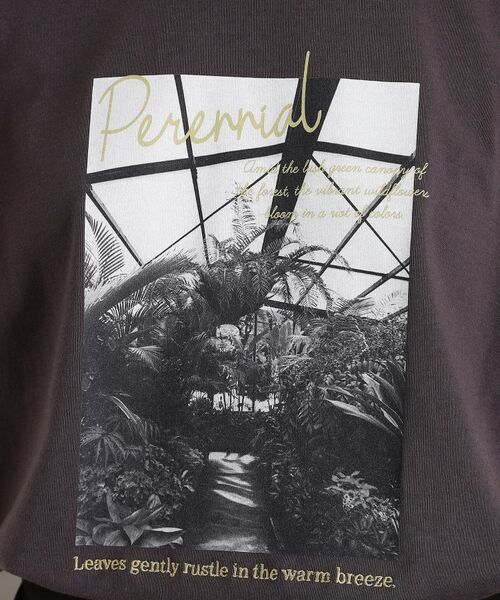 THE SHOP TK / ザ ショップ ティーケー Tシャツ | カレッジ&フォトプリントTシャツ【洗濯機OK】 | 詳細12