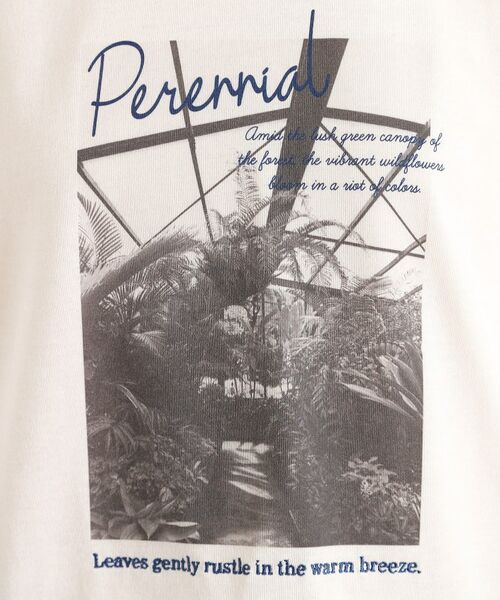 THE SHOP TK / ザ ショップ ティーケー Tシャツ | カレッジ&フォトプリントTシャツ【洗濯機OK】 | 詳細16