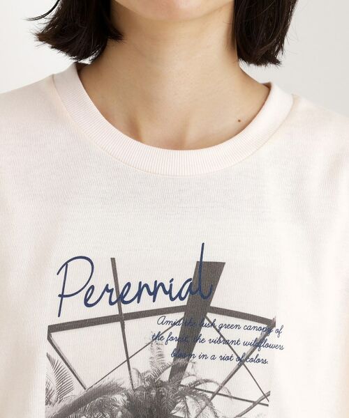 THE SHOP TK / ザ ショップ ティーケー Tシャツ | カレッジ&フォトプリントTシャツ【洗濯機OK】 | 詳細20