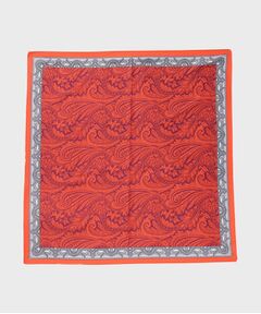 THE SHOP TK / ザ ショップ ティーケー マフラー・ショール・スヌード・ストール | ペイズリー大判ストール