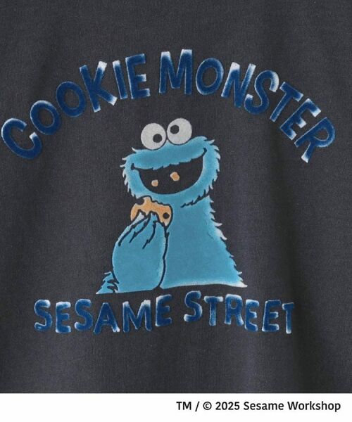 THE SHOP TK / ザ ショップ ティーケー Tシャツ | 【110-160】セサミストリートTシャツ/親子リンク | 詳細10