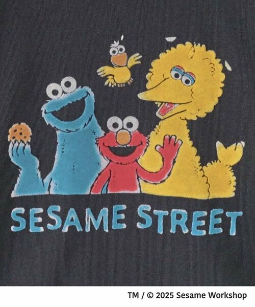 THE SHOP TK / ザ ショップ ティーケー Tシャツ | 【110-160】セサミストリートTシャツ/親子リンク | 詳細11