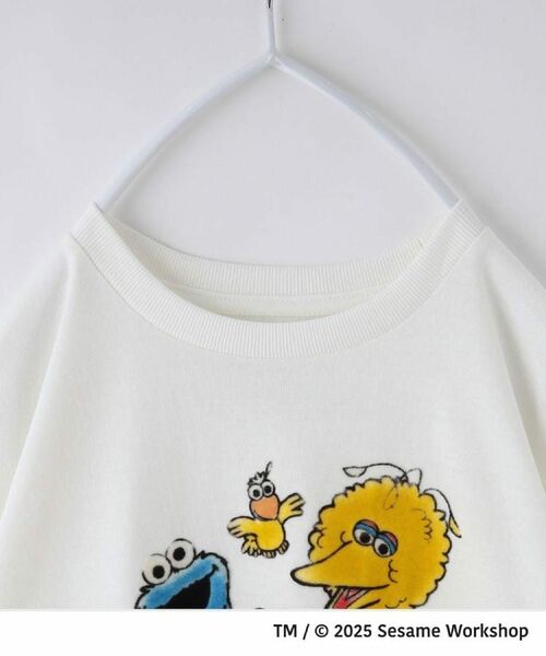 THE SHOP TK / ザ ショップ ティーケー Tシャツ | 【110-160】セサミストリートTシャツ/親子リンク | 詳細3