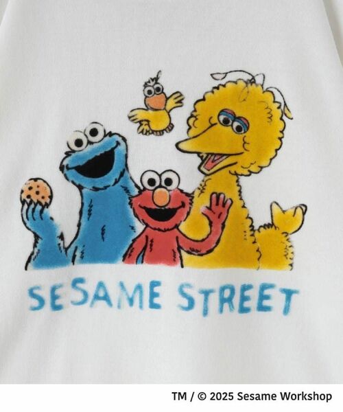 THE SHOP TK / ザ ショップ ティーケー Tシャツ | 【110-160】セサミストリートTシャツ/親子リンク | 詳細8