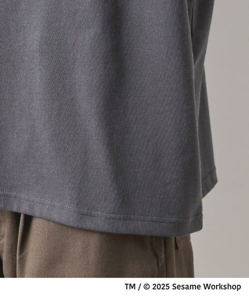 THE SHOP TK / ザ ショップ ティーケー Tシャツ | セサミストリートTシャツ／親子リンク | 詳細17