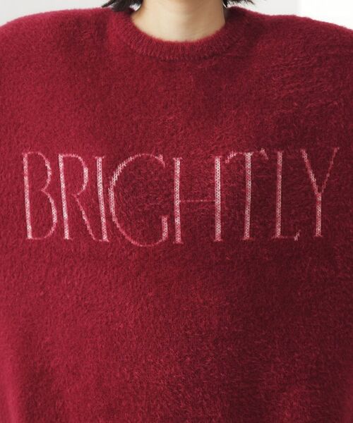 THE SHOP TK / ザ ショップ ティーケー カットソー | ベルベットフェザー ロゴニットプルオーバー | 詳細18