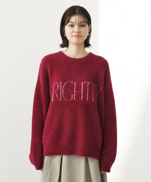 THE SHOP TK / ザ ショップ ティーケー カットソー | ベルベットフェザー ロゴニットプルオーバー | 詳細19