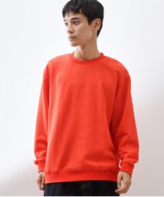 THE SHOP TK / ザ ショップ ティーケー スウェット | 【無地に飽きた方へ】ふくれジャカードスウェット　洗濯機OK/6色展開/ユニセックスでおすすめ！