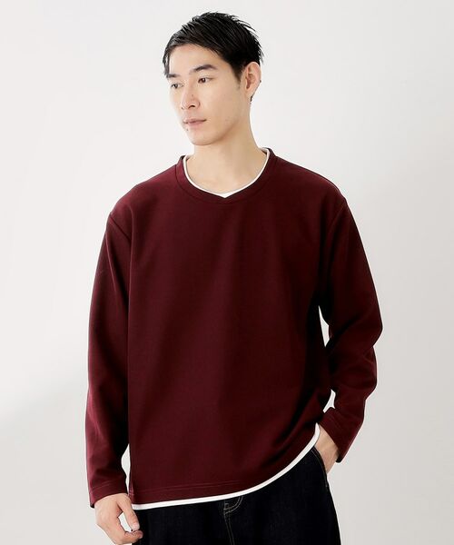 THE SHOP TK/ザ ショップ ティーケー 【一枚でコーディネートが完成!】レイヤード風クルーネック長袖Tシャツ 洗濯機OK ボルドー(064) 02(M) THE SHOP TK/ザ ショップ ティーケー 【一枚でコーディネートが完成!】レイヤード風クルーネック長袖Tシャツ 洗濯機OK ボルドー(064) 02(M)