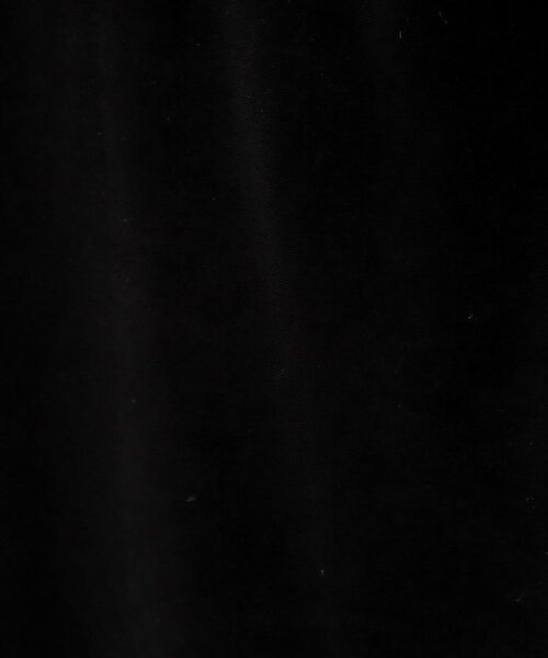 THE SHOP TK / ザ ショップ ティーケー ロング・マキシ丈スカート | ベロアナロースカート | 詳細4