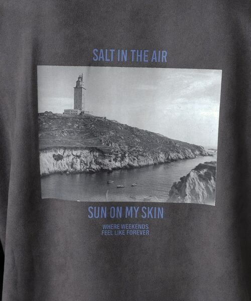 THE SHOP TK / ザ ショップ ティーケー カットソー | スエード フォトプリントスウェット 【洗濯機OK】 | 詳細23