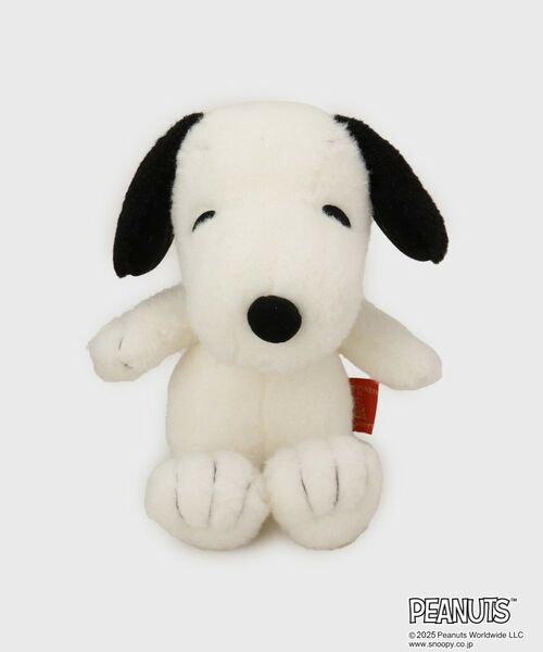 THE SHOP TK/U Vbv eB[P[ 킹Xk[s[NVbN S AC{[(004) 00