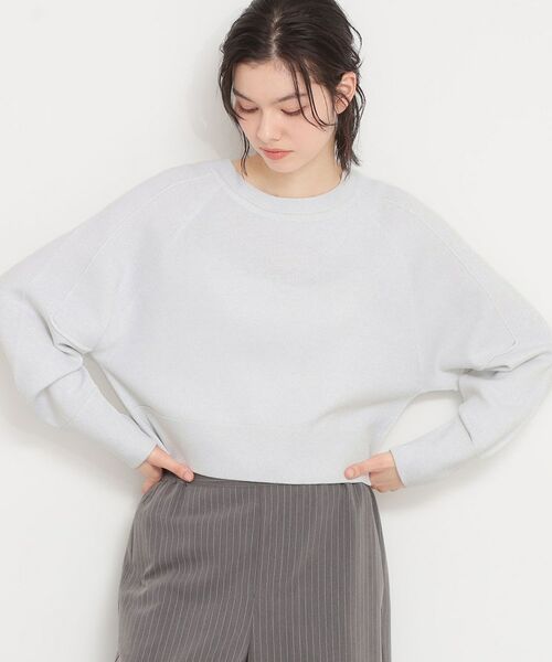 THE SHOP TK / ザ ショップ ティーケー ニット・セーター | 【着丈が選べる】スウェットライクラメジャガードニット（アイボリー/ショート(004)）