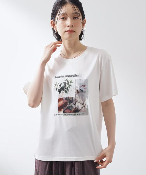 THE SHOP TK / ザ ショップ ティーケー Tシャツ | 【ひんやり/吸水速乾】プリントアソートTシャツ | 詳細18