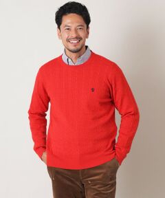 THE SCOTCH HOUSE / ザ・スコッチハウス その他トップス | 【家庭洗濯可能】Easy Care ケーブルクルーニット