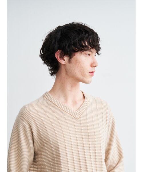 three dots / スリードッツ ニット・セーター | Men's crazy border l/s v neck | 詳細8