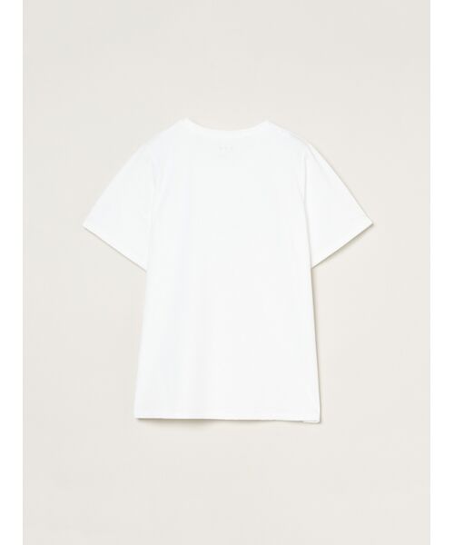 three dots / スリードッツ Tシャツ | Powdery cotton basic tee | 詳細1