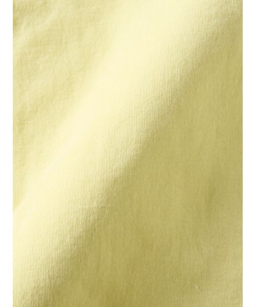 three dots / スリードッツ Tシャツ | Soft see through mellow turtle | 詳細5