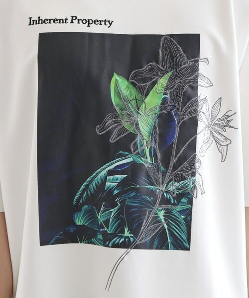 tk.TAKEO KIKUCHI / ティーケー タケオキクチ Tシャツ | フラワープリントTシャツ | 詳細5