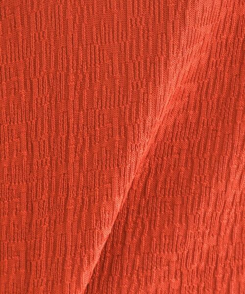 tk.TAKEO KIKUCHI / ティーケー タケオキクチ ポロシャツ | スキッパーニットポロシャツ | 詳細13