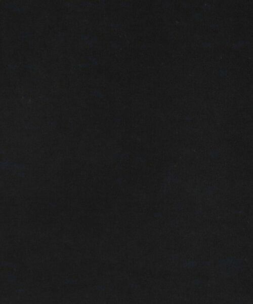 tk.TAKEO KIKUCHI / ティーケー タケオキクチ Tシャツ | フラワーフォトエンブロヘビーウェイトスムースTシャツ | 詳細9