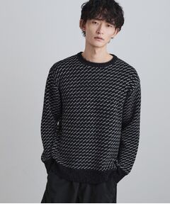 tk.TAKEO KIKUCHI / ティーケー タケオキクチ ニット・セーター | バーズアイモールニット