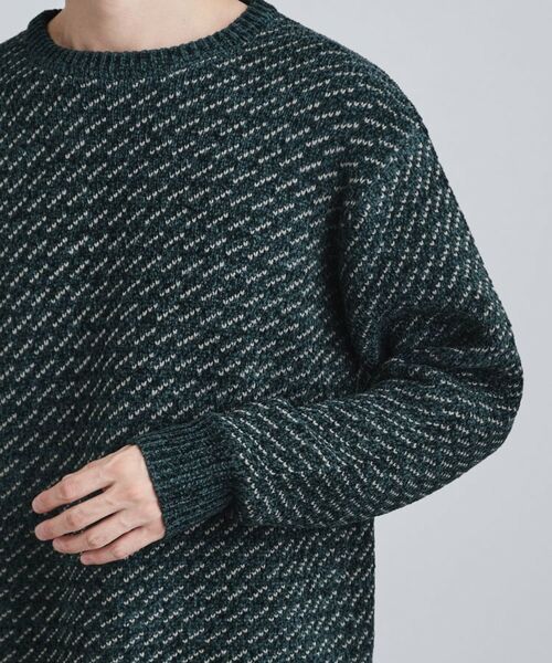 tk.TAKEO KIKUCHI / ティーケー タケオキクチ ニット・セーター | バーズアイモールニット | 詳細21