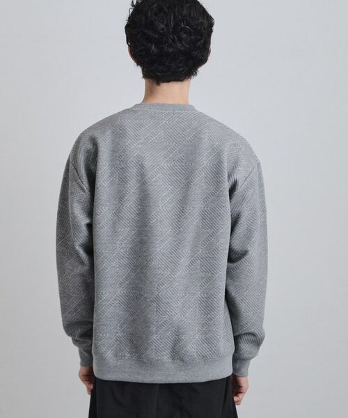 tk.TAKEO KIKUCHI / ティーケー タケオキクチ カットソー | 膨れジャカードクルーカットソー | 詳細19