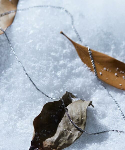 tk. TAKEO KIKUCHI/eB[P[ ^PILN` i[RrlbNX^XeX Vo[(006) 00