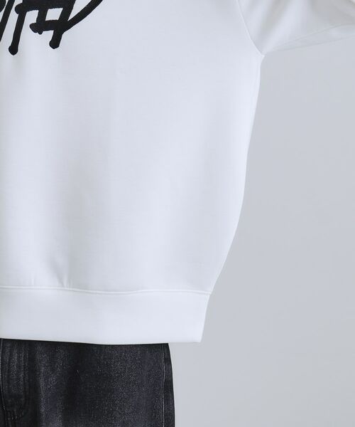 tk.TAKEO KIKUCHI / ティーケー タケオキクチ スウェット | レタードエンブロレイヤーカラーカットソー | 詳細19