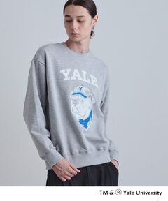 tk.TAKEO KIKUCHI / ティーケー タケオキクチ スウェット | YALEフロッキースウェット