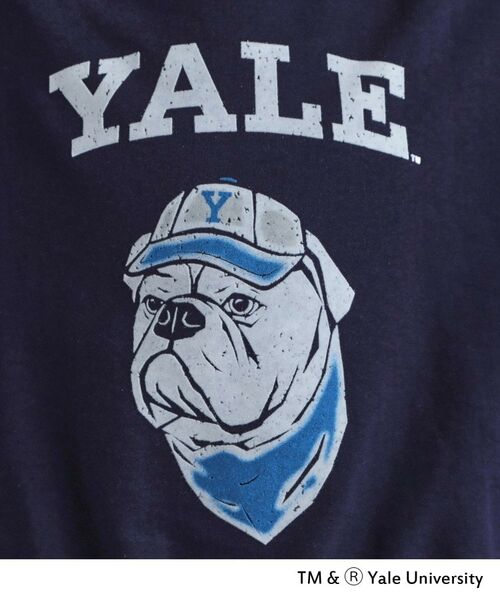 tk.TAKEO KIKUCHI / ティーケー タケオキクチ スウェット | YALEフロッキースウェット | 詳細13