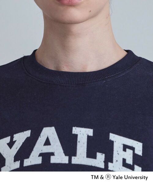 tk.TAKEO KIKUCHI / ティーケー タケオキクチ スウェット | YALEフロッキースウェット | 詳細17