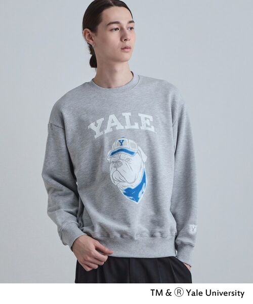 tk.TAKEO KIKUCHI / ティーケー タケオキクチ スウェット | YALEフロッキースウェット | 詳細2