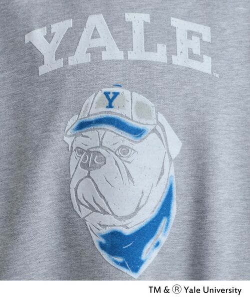 tk.TAKEO KIKUCHI / ティーケー タケオキクチ スウェット | YALEフロッキースウェット | 詳細5