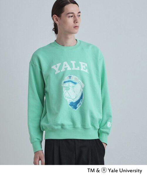 tk.TAKEO KIKUCHI / ティーケー タケオキクチ スウェット | YALEフロッキースウェット | 詳細6