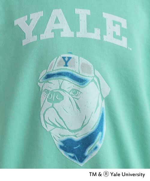 tk.TAKEO KIKUCHI / ティーケー タケオキクチ スウェット | YALEフロッキースウェット | 詳細9