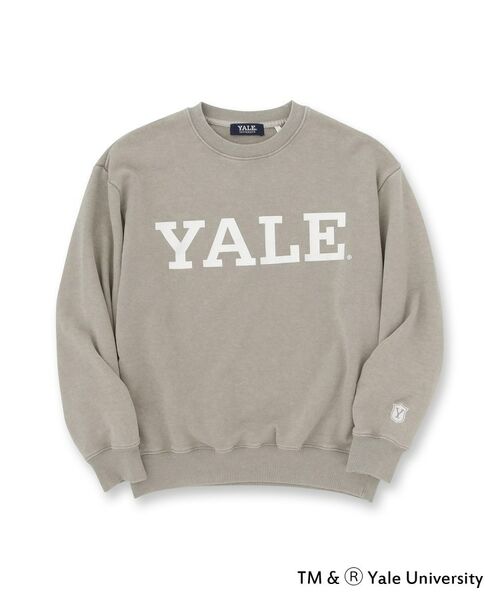 tk.TAKEO KIKUCHI / ティーケー タケオキクチ スウェット | YALEロゴスウェット | 詳細1