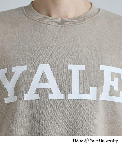 tk.TAKEO KIKUCHI / ティーケー タケオキクチ スウェット | YALEロゴスウェット | 詳細13