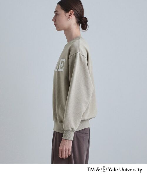 tk.TAKEO KIKUCHI / ティーケー タケオキクチ スウェット | YALEロゴスウェット | 詳細15
