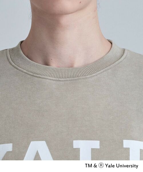 tk.TAKEO KIKUCHI / ティーケー タケオキクチ スウェット | YALEロゴスウェット | 詳細17