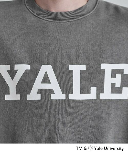 tk.TAKEO KIKUCHI / ティーケー タケオキクチ スウェット | YALEロゴスウェット | 詳細5
