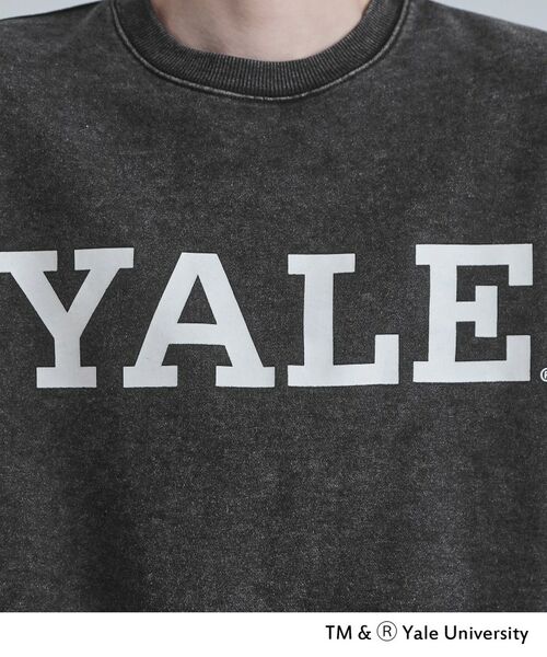 tk.TAKEO KIKUCHI / ティーケー タケオキクチ スウェット | YALEロゴスウェット | 詳細9