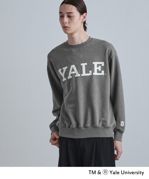 tk.TAKEO KIKUCHI / ティーケー タケオキクチ スウェット | YALEロゴスウェット（グレー(012)）