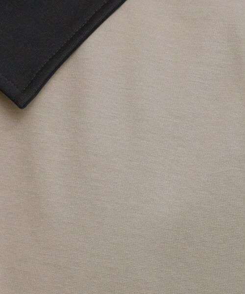 tk.TAKEO KIKUCHI / ティーケー タケオキクチ カットソー | 配色ハーフジップカットソー | 詳細9