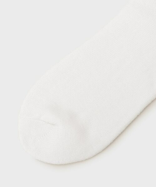 tk.TAKEO KIKUCHI / ティーケー タケオキクチ ソックス | 【別注】FRUIT OF THE LOOM ルーズフィットソックス | 詳細3