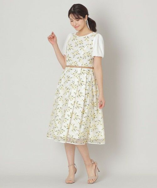 TO BE CHIC (大きいサイズ) / トゥー ビー シック (オオキイサイズ) ロング・マキシ丈ワンピース | 【L】ミモザチュールフィット&フレア ドレス | 詳細1