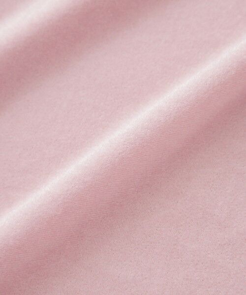 TO BE CHIC (大きいサイズ) / トゥー ビー シック (オオキイサイズ) その他トップス | 【L】シアーベロア ハイネックカットソー | 詳細9