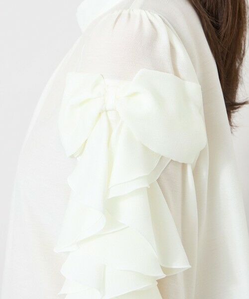 TO BE CHIC (大きいサイズ) / トゥー ビー シック (オオキイサイズ) その他トップス | 【L】ラウンドテール シアーフリルブラウス | 詳細6