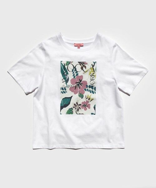 TOCCA / トッカ カットソー | 【接触冷感・UV90%以上カット・洗える！】EXOTIC FLORAL Tシャツ | 詳細3